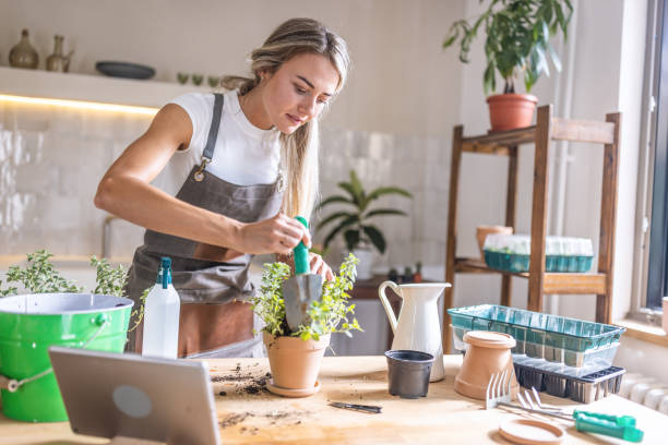 istock Woman potting plants at home 1418575892