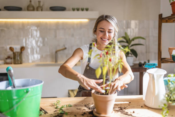 istock Woman potting plants at home 1418575989