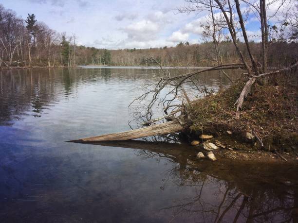 istock pond in Massachusetts in early spring 1418591183