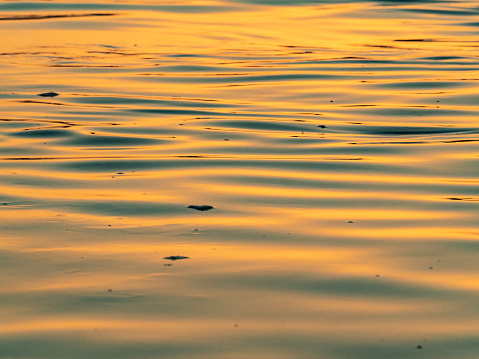 Golden crimson light reflecting off surface of water at sunset in Hawaii.