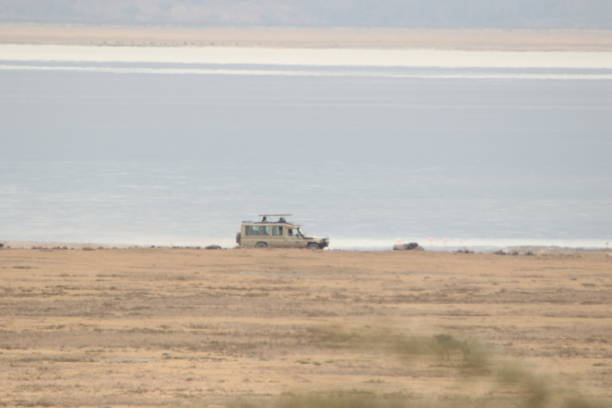 istock Wildebeest at Ngorongoro Conservation Area. 1418597712