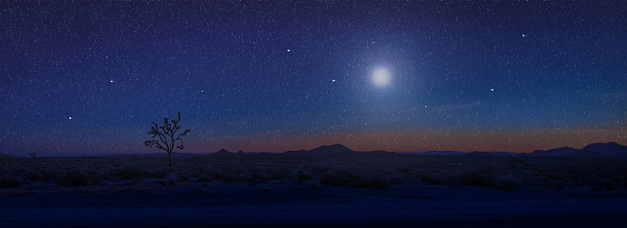 the dry desert at night with one small tree and a falling star and the moon at the sky