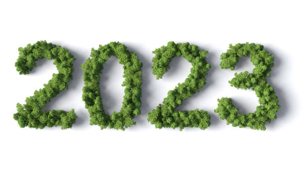 Forest 2023 stock photo