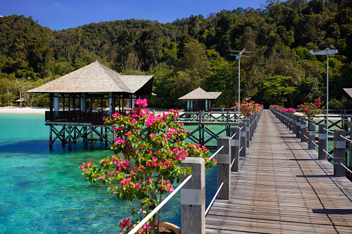 Coral reef island. Wooden jetty with exotic flowers and water villa. Summer vacation on tropical resort. Luxury travel. Diving and snorkeling paradise. Beautiful Asia.