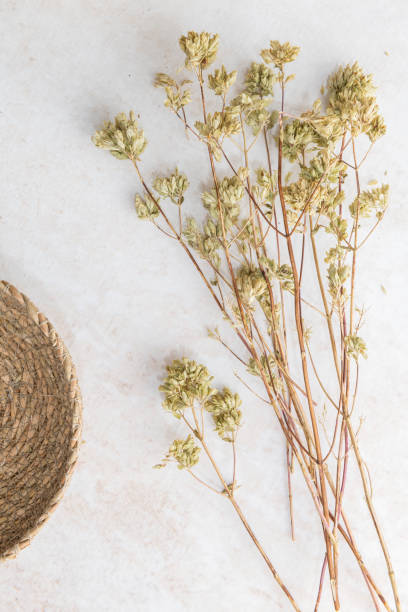 istock Bunch of dried oregano 1418604886