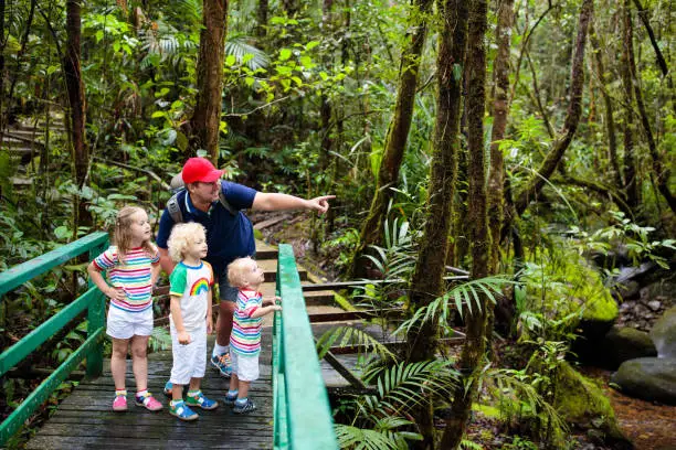 Photo of Family hiking in jungle.