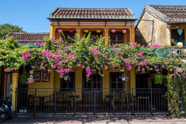 istock Hoi An Myrtle Flower Trees 1418618823