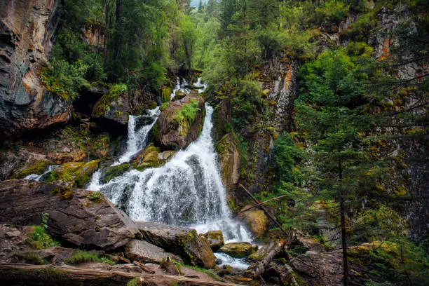 Mountain waterfall in a rocky gorge overgrown with green forest. Stream of icy water falls on mossy stones.