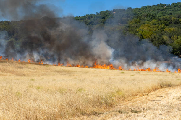 istock Grass Fire in California 1418634881
