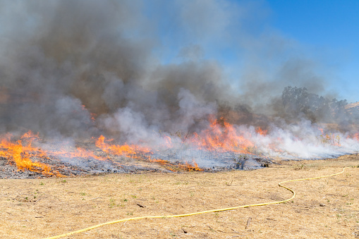 Grass fire buring in hills near San Jose, California. This was a prescribed burn set by firefighters to help reduce fire risk to local areas.