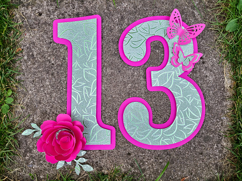 The number 13, butterflies and a flower are cut out of colored papers.