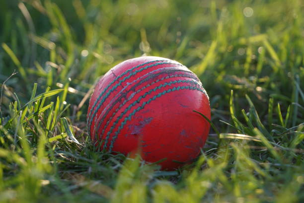 istock Cricket gear and pitch 1418640824