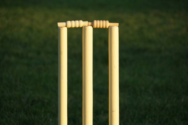 istock Cricket gear and pitch 1418640833
