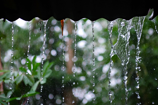 The rainwater falling from the roof resembles a curtain against a green garden backdrop.