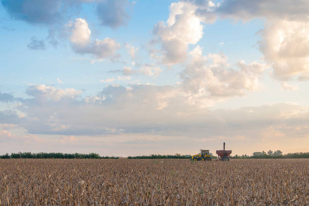 istock Combine harvester working in the field 1418652453