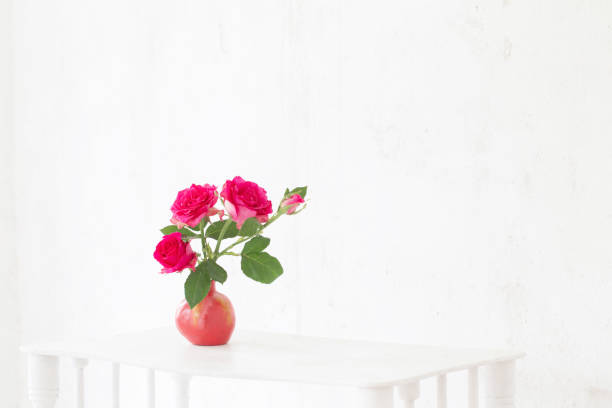 pink roses in pink vase on background old white wall