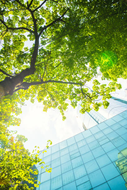 istock Modern urban architecture in Chengdu on sunny days 1418661070