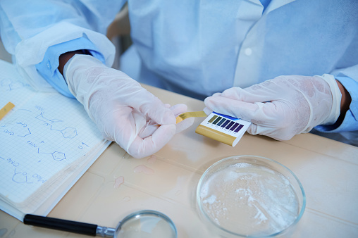 Selective focus on gloved hands of lab assistant using reagent paper, conduct a PH test of a substance in Petri dish, in a clinical research laboratory. Measurement of acidity, alkalinity of chemicals