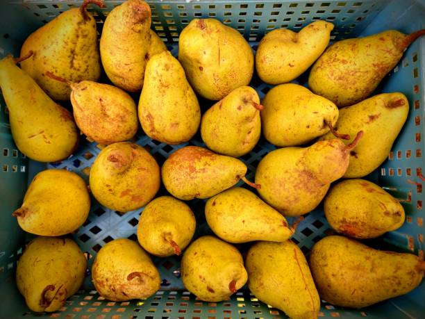 istock Ripe yellow pears closeup 1418668040