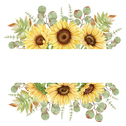 Watercolor sunflower frame. Yellow flowers, eucalyptus, rosehip, leaves and plants. Autumn arrangement. Isolated on white background. Fall clipart. Botanical illustration.