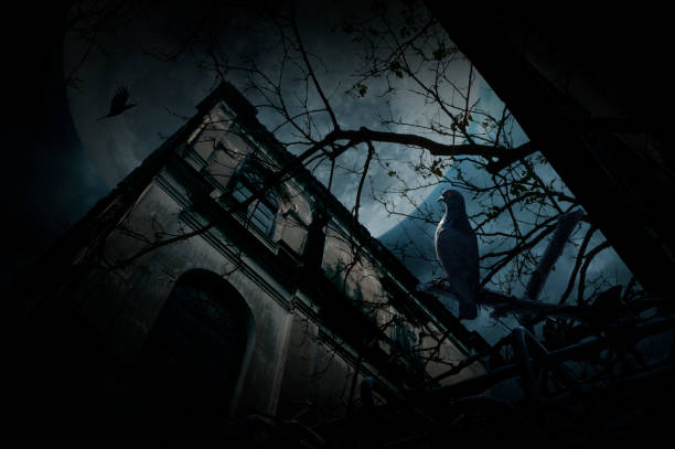 istock Halloween mystery concept 1418679013