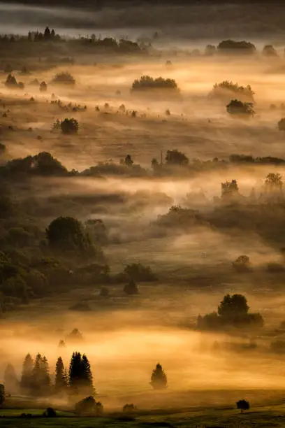 Photo of Sunrise in the San River valley on the border between Poland and Ukraine. Bieszczady Mountains, Carpathians.