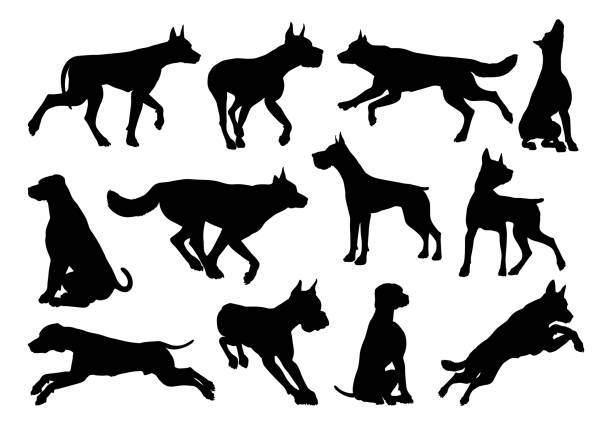 zestaw zwierząt sylwetek dla psów - dog malamute sled dog bulldog stock illustrations