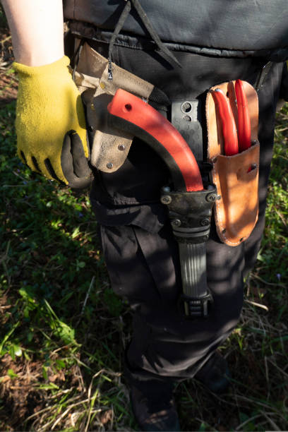 istock Gardener belt with florist tools 1418683438