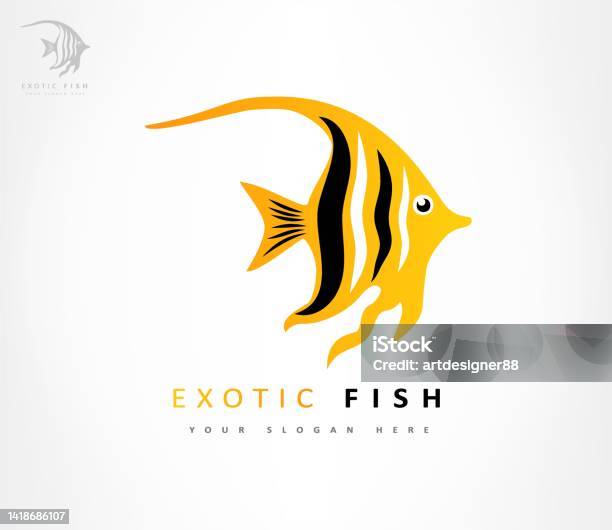 Ang Vector Fish Exotic Fish Vector Angel Fish Vector Design Stock Illustration ...