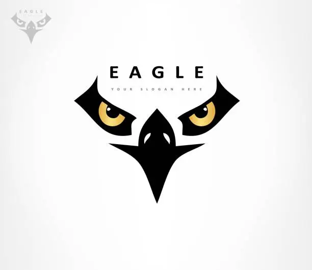 Vector illustration of Eagle bird vector. Animal design.