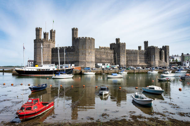 caernarfon schloss und hafen - caenarvon castle caernarfon castle wales stock-fotos und bilder