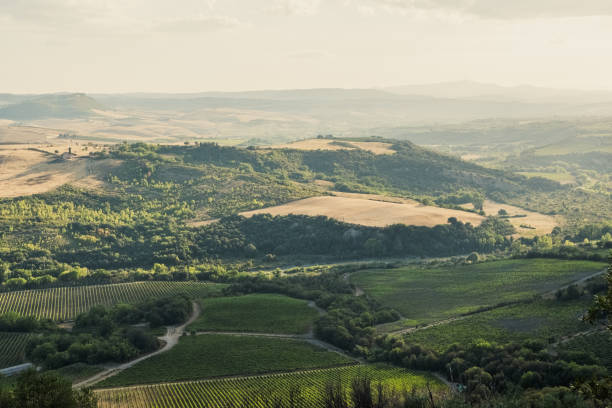 istock Summer landscape in Tuscany, Italy 1418698308