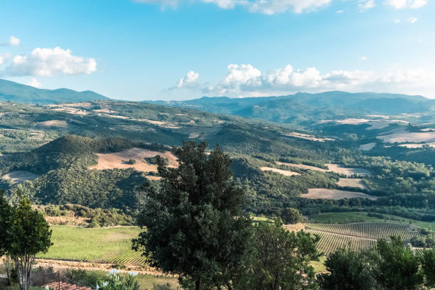 istock Summer landscape in Tuscany, Italy 1418698310
