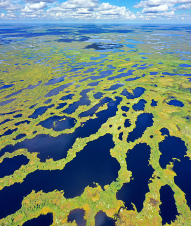 Aerial photography of landscape in Western Siberia.