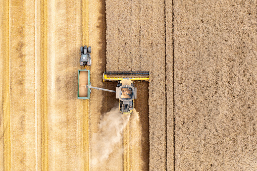 Aerial drone shot of combine harvester machine and tractor working on wheat farm field in summer harvesting crop - Top down view from the drone