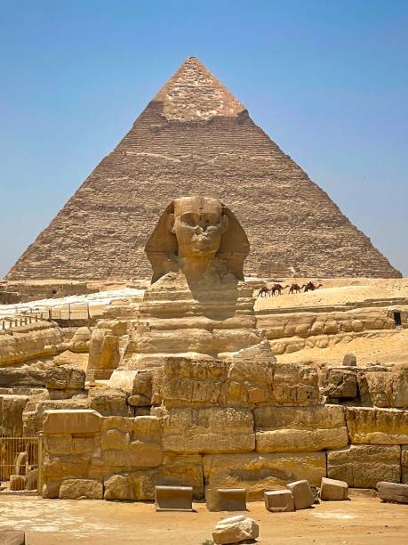gran esfinge frente a la pirámide, giza, el cairo, egipto - la esfinge fotografías e imágenes de stock