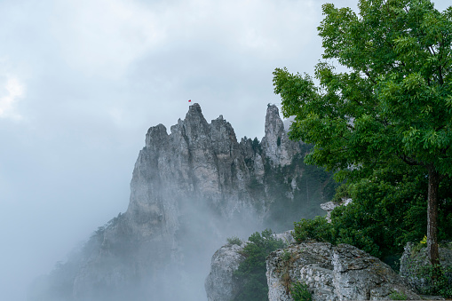 a rock in inclement weather in fog. High quality photo