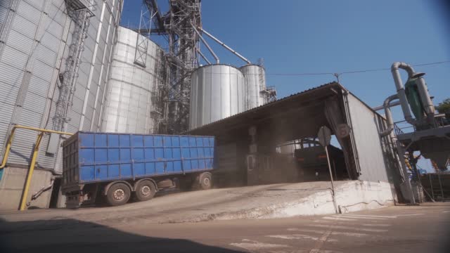 Grain lorry arrives to grain elevator terminal. Dump truck drives to unloader. Wheat in cargo body. Grain shipment and transport of agricultural commodities. World food supply chain.