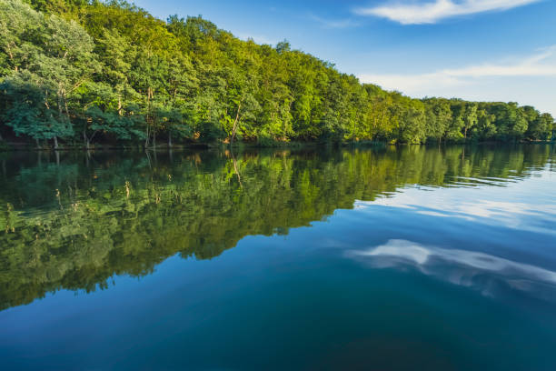 istock Forest by the lake, beautiful reflection in the water. 1418716161