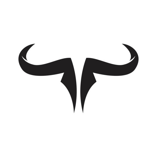 소 머리 - texas longhorn cattle bull horned cattle stock illustrations