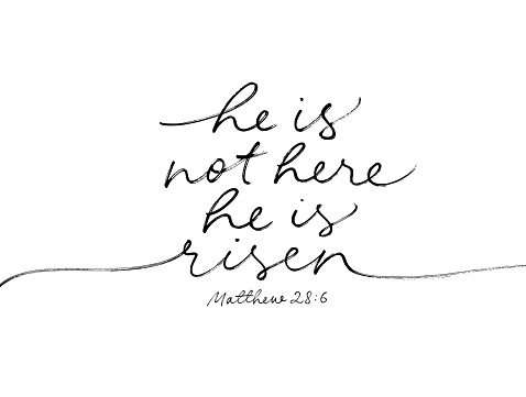 He is not here He is Risen simple line calligraphy. Hand lettering phrase about God. Easter Sunday, Holy Week postcard with text Matthew 28:6. Biblical black vector lettering with swashes.
