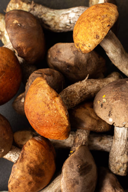 istock Wild boletus mushrooms 1418721812