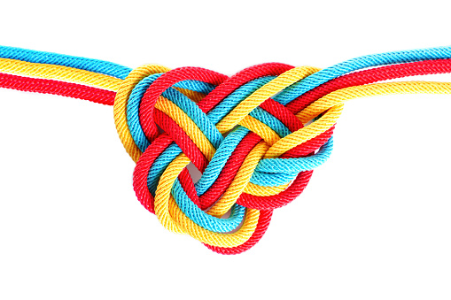 Reef knot on white background.