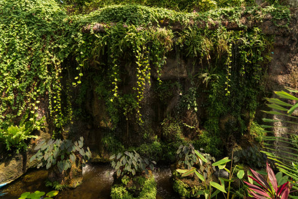 Close-up of spraying waterfall.