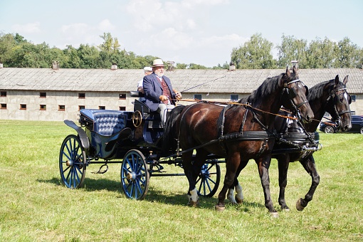 Koszelew, Mazowieckie  Poland - 08.27.2022: horse-drawn carriage show