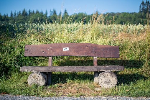 A wooden bench by the wayside in the middle of nature