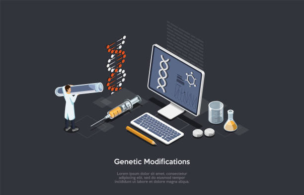 ilustrações, clipart, desenhos animados e ícones de conceito de ciência e modificações genéticas. cientista de laboratório faz experimentos, pesquisa genética, modificação de testes moleculares de dna. cientistas engenheiros genéticos. ilustração de vetor 3d isométrico - genetic modification genetic mutation genetic research vegetable