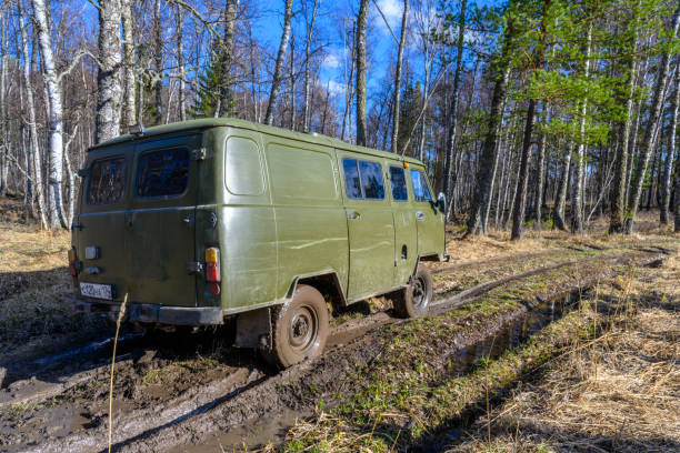 South Ural sport utility vehicle with a unique landscape, vegetation and diversity of nature in spring. Beloretsk, Russia - May 6, 2022: South Ural sport utility vehicle with a unique landscape, vegetation and diversity of nature in spring. south ural stock pictures, royalty-free photos & images