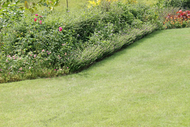 istock Flower border along a short cut lawn 1418751568