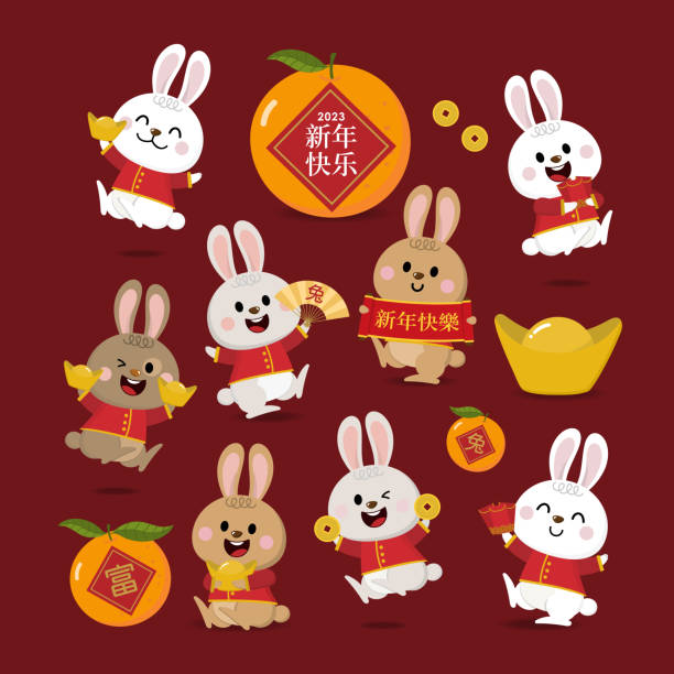 Happy Chinese new year greeting card 2023 with cute rabbit, gold money, lantern and oranges. Animal holidays cartoon character. Translate: Happy new year. Happy Chinese new year greeting card 2023 with cute rabbit, gold money, lantern and oranges. Animal holidays cartoon character. Translate: Happy new year. rabbit stock illustrations